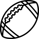 司达蕾
